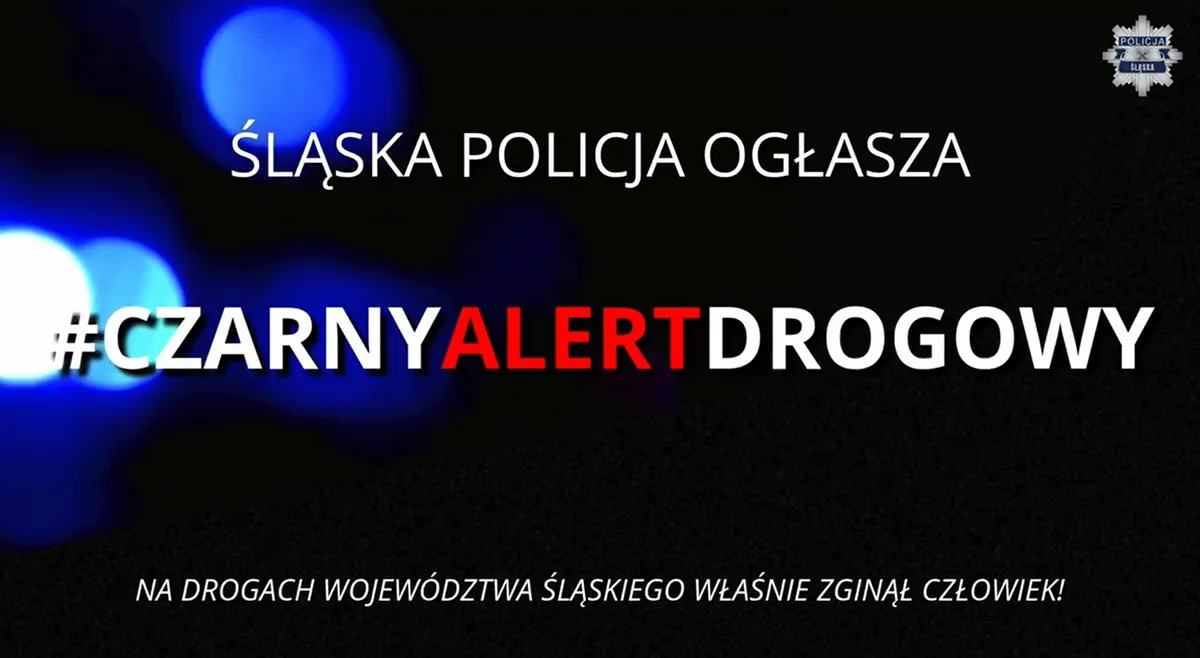 Śmiertelny wypadek w Wilczy. Samochód uderzył w znak i drzewo