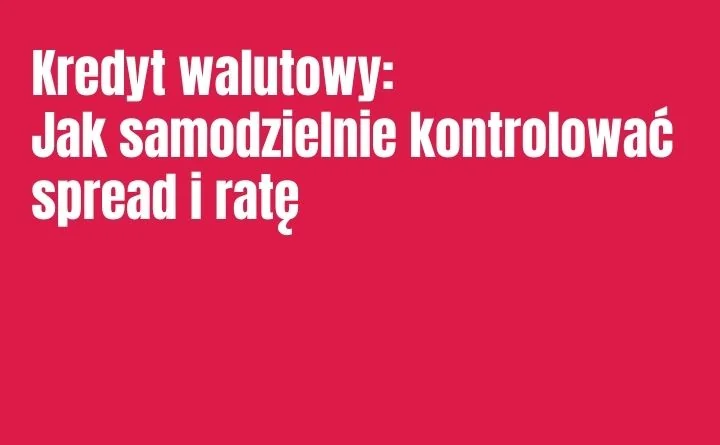 Obraz do artykułu: Kredyt walutowy: Jak samodzielnie kontrolować spread i ratę