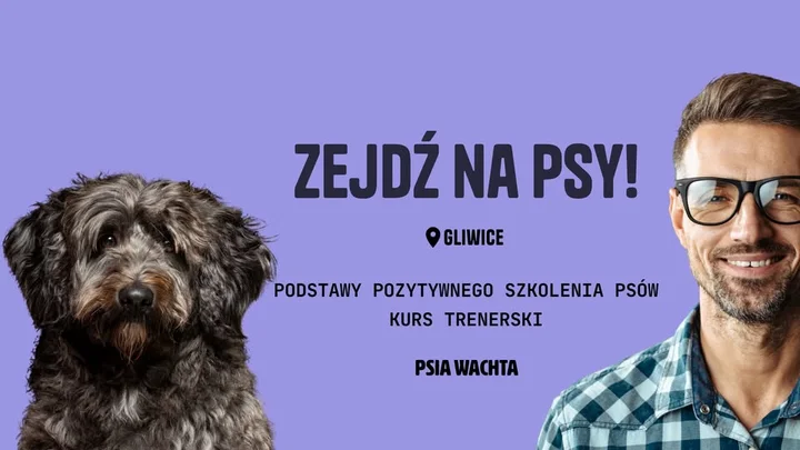 Grafika promocyjna wydarzenia GLIWICE: Kurs trenerski PPSP z Anną Żakowską‑Małek (PPSP GL1)