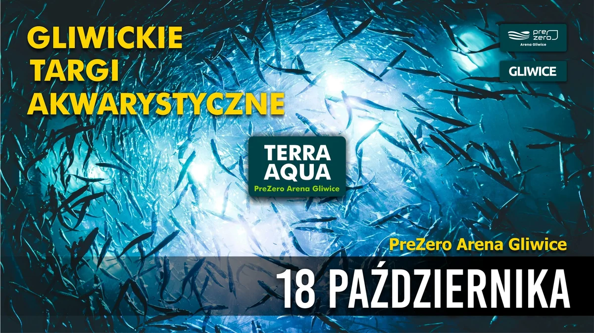 Grafika promocyjna wydarzenia Gliwickie Targi Akwarystyki w Gliwicach