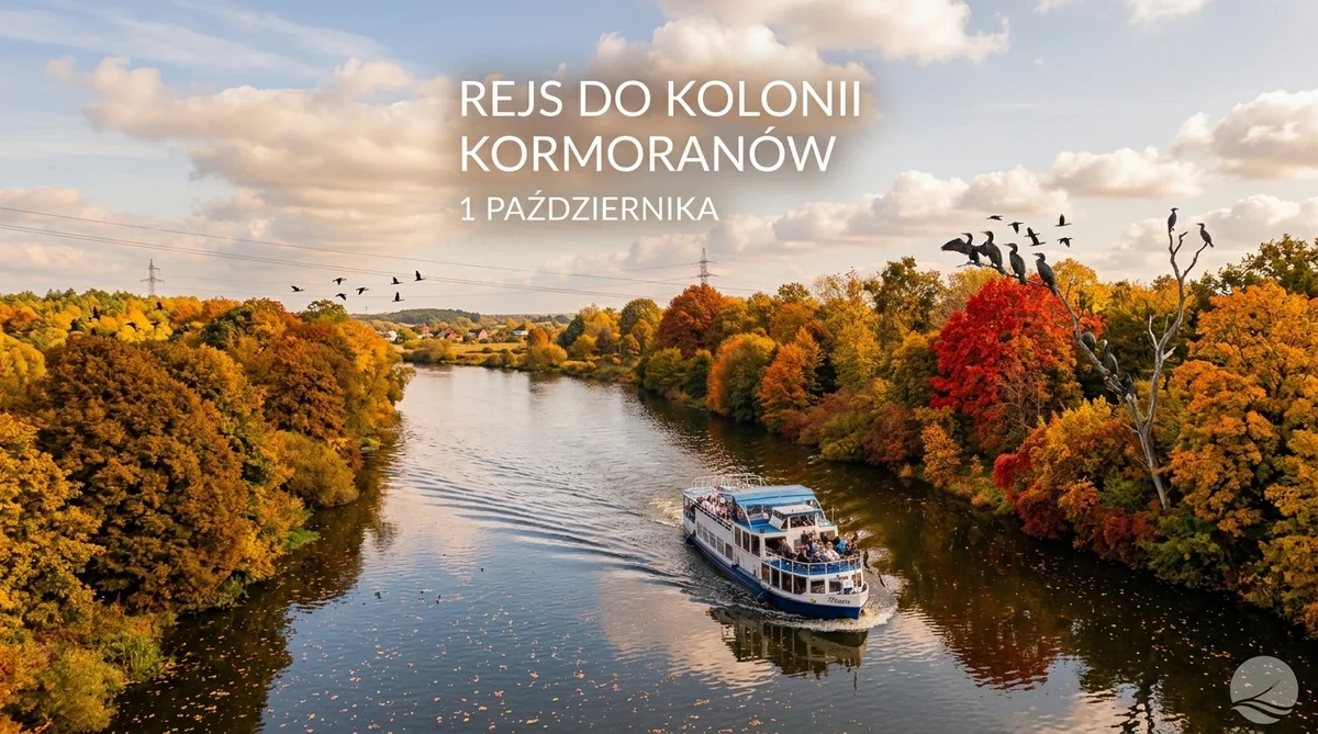 Grafika promocyjna wydarzenia Jesienny Rejs do Kolonii Kormoranów po Kanale