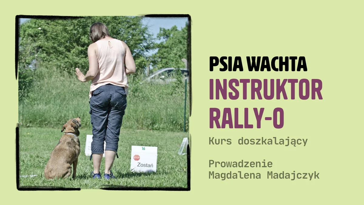 Grafika promocyjna wydarzenia Kurs doszkalający na Instruktora Rally-O w Gliwicach