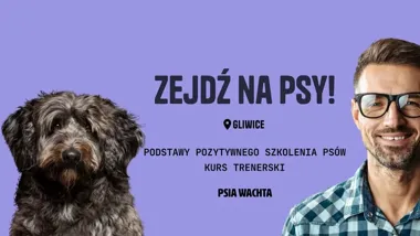 Grafika promocyjna wydarzenia GLIWICE: Kurs trenerski PPSP z Anną Żakowską‑Małek (PPSP GL1)