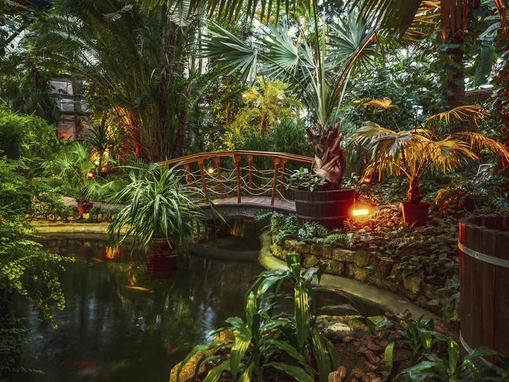 Ferie w tropikach – Palmiarnia Miejska otwarta siedem dni i z wystawą dyskowców