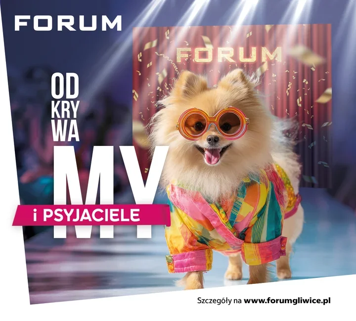 Draco oddaje tytuł. FORUM Gliwice szuka nowego psiego ambasadora