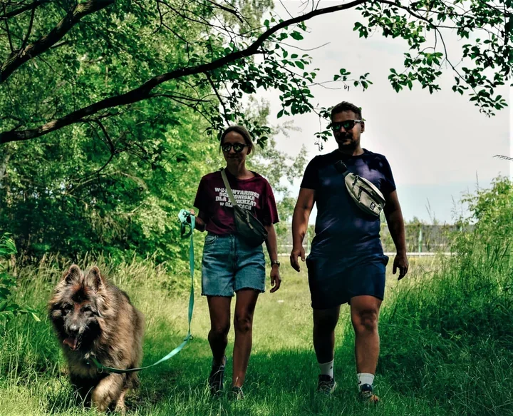 Bieg na 6 łap wraca do Gliwic. Zapisy ruszą w południe