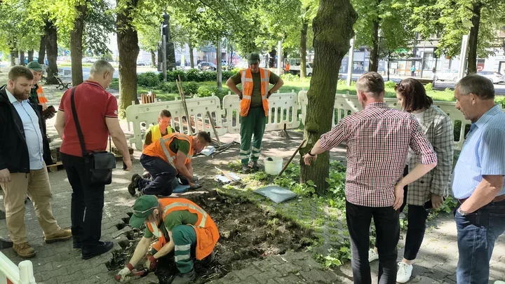 Plac Piłsudskiego czeka odbrukowanie. Korzenie drzew wreszcie dostaną więcej miejsca