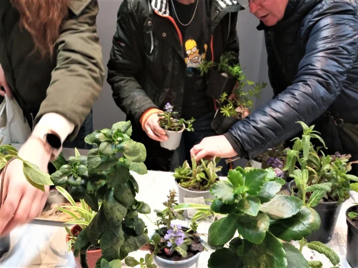 Roślinodzielnia wraca do Biblioteki Centralnej z wymianą sadzonek i kadzidełkami