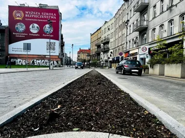 Stara roślinność znika z rabaty przy ul. Zwycięstwa. Będzie nowa kompozycja