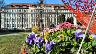 Skwer Doncaster zakwitł pisankami, a wieczorem rozbłyska zielenią i żółcią