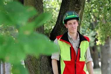 Miejski Inspektor Drzew rusza na przegląd Gliwic. 95 lokalizacji pod lupą
