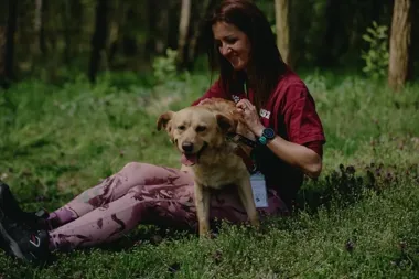 Milo czeka w Gliwicach na człowieka, któremu odda całe serce