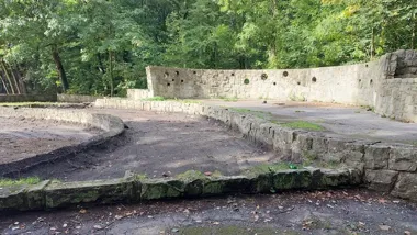 Dawna fontanna zmieni się w kwietnik. Trwa modernizacja sceny w lesie komunalnym