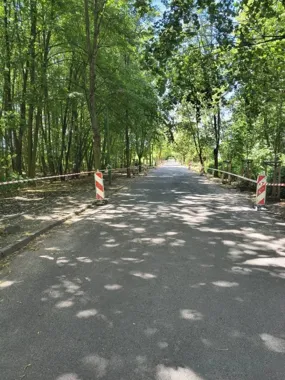 Przy Rekreacyjnej parkowanie jest zakazane. MZUK ustawił nowe oznaczenia