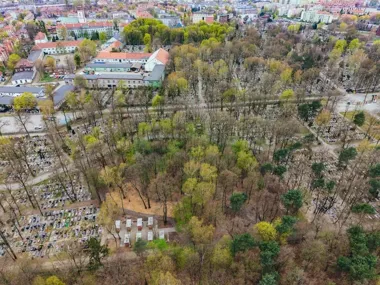 Na Cmentarzu Lipowym powstaje pierwsze w Gliwicach ekologiczne miejsce pochówku