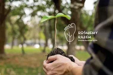 Drzewa dla najmłodszych w Gliwicach. 43 dzieci otrzyma własne drzewo
