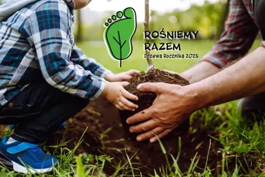 45 drzew z tabliczkami małych Gliwiczan. Rusza miejski program