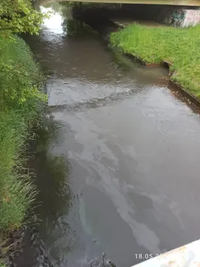 Kłodnica po wycieku. Służby zakończyły działania nad rzeką