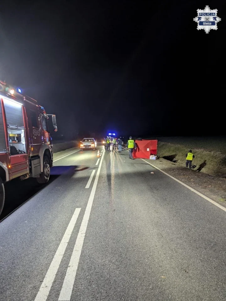 Nocna tragedia na DW 901 - rowerzysta zginął po zderzeniu z Citroenem