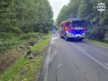 Samochód stanął w płomieniach. 41-latek zginął w Bojszowie