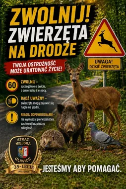 Ranne zwierzę przy drodze może sprowadzić kolejne zagrożenie