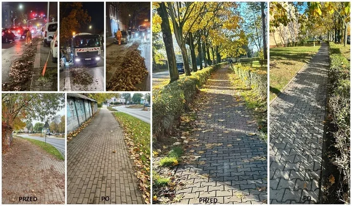 Liście wracają na ulice Gliwic. Ekipy pracują od 6 do 22