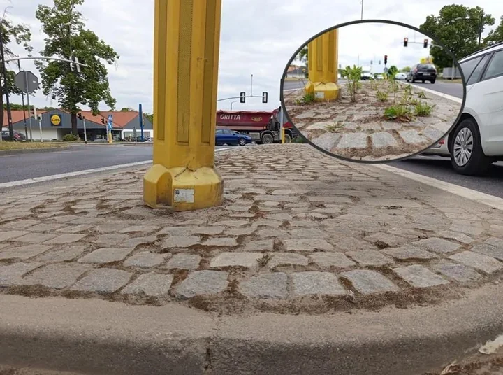 Na Toszeckiej ruszyło odchwaszczanie chodników, a miasto idzie dalej krok po kroku