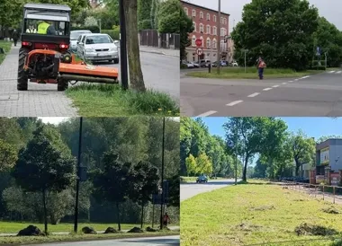 Gliwicka zieleń rośnie w zawrotnym tempie. Najpierw koszone są newralgiczne miejsca