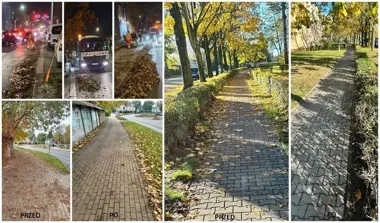 Liście wracają na ulice Gliwic. Ekipy pracują od 6 do 22