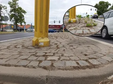 Na Toszeckiej ruszyło odchwaszczanie chodników, a miasto idzie dalej krok po kroku