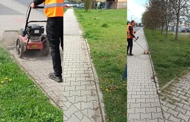 Chwasty wracają szybciej niż prace porządkowe – drogowcy nie odpuszczają