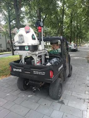 Cyfrowe bliźniaki gliwickich drzew. Sztuczna inteligencja wesprze ich ocenę