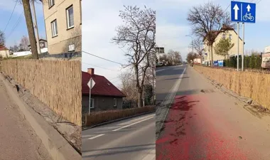 Przy ulicach Gliwic kończy się zima dla roślin – demontują maty ochronne