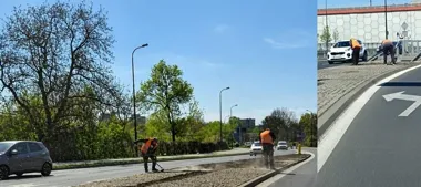 Chwasty wracają po deszczu. Odchwaszczanie potrwa do późnej jesieni